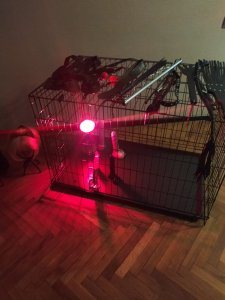 Матильда, 79265580016